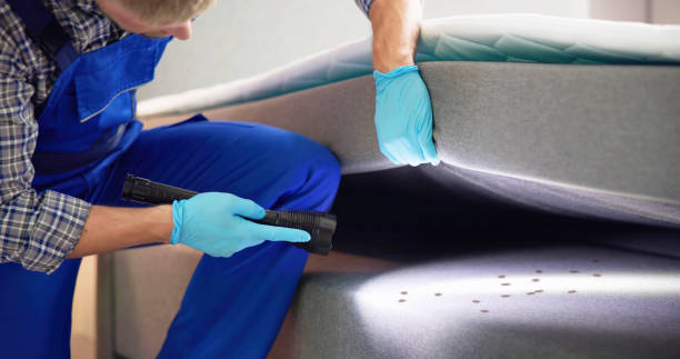 Best Affordable Pest Control Services  in Fruitland, ID