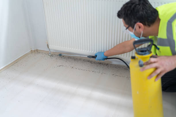 Best Best Pest Control Companies  in Fruitland, ID