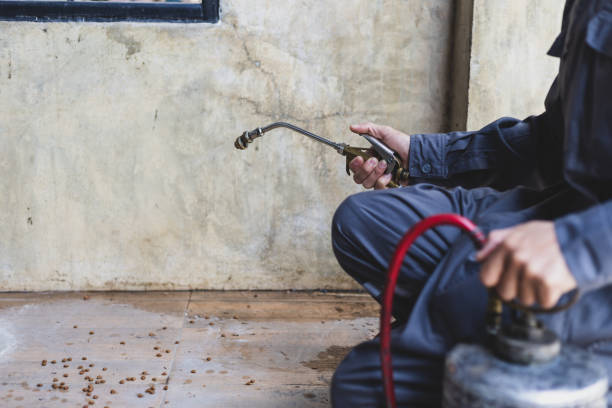 Best Wasp Removal Services  in Fruitland, ID